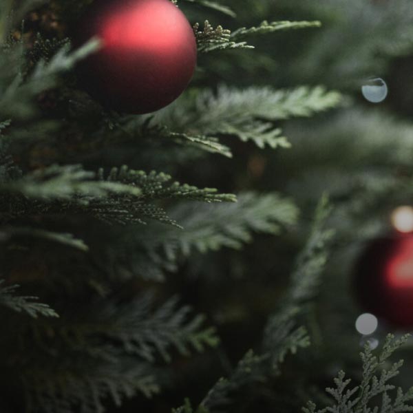 Close-up of a Christmas tree with red baubles.